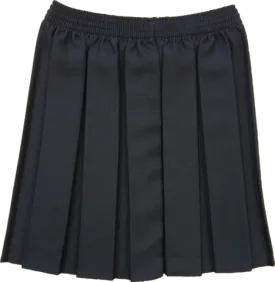 Black Box Pleated Skirt
