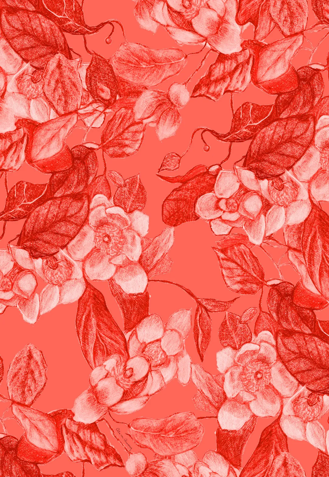 Clivia Sheer Top in Coral Grandiflora