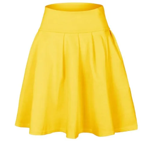 Pleated Skater Skirt