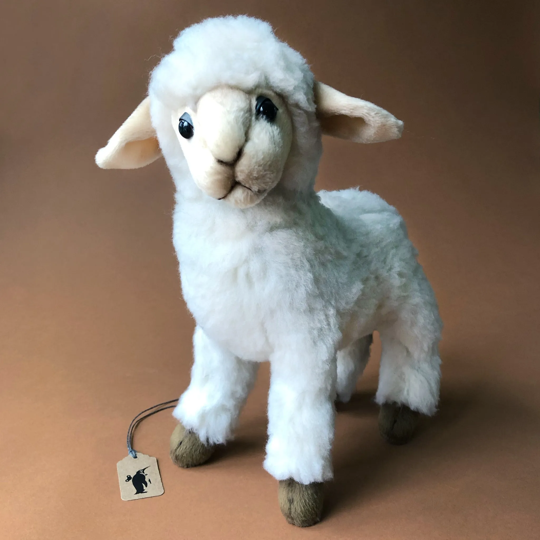 White Sheep Kid